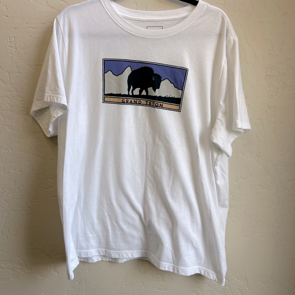 The northface women’s graphic tee size 2x. Outdoor crunchy granola Gorpcore
